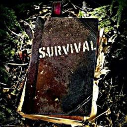 Телеграмм бот &laquo;survival_bot&raquo;