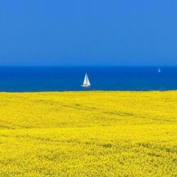  Телеграмм бот &laquo;National Geographic Ukraine&raquo; 