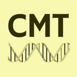 Телеграмм бот &laquo;CMT&raquo; 