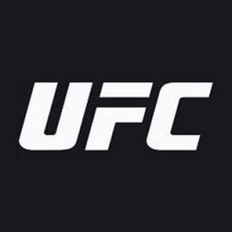  Телеграмм бот &laquo;UFC&raquo; 