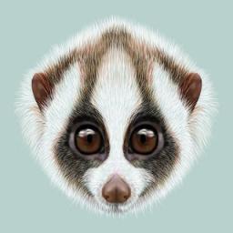  Телеграмм бот &laquo;zooparkbot&raquo; 