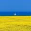  Телеграмм бот &laquo;National Geographic Ukraine&raquo; 