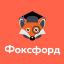 Телеграмм бот «Foxford» Телеграмм бот «Foxford»
