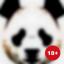  &laquo;Panda Porn&raquo; telegram channel 