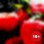  &laquo;Ripe strawberries18+&raquo; telegram channel 