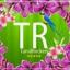  &laquo;Tamilrockers.pl&raquo; telegram channel 