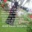  &laquo;Hati yang tenang&raquo; telegram channel 