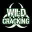  &laquo;WILD CRACKING &raquo; telegram channel 