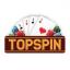  &laquo;TopSpin&raquo; telegram channel 