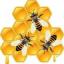  &laquo;CRYPTO HONEY&raquo; telegram channel 