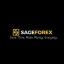  &laquo;SAGEFOREX&raquo; telegram channel 