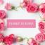  &laquo;Flower In Bloom&raquo; telegram channel 