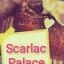  &laquo; Scarlac Palace &raquo; telegram channel 