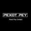  &laquo;Pexot Pey Contact Channel&raquo; telegram channel 