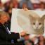  &laquo;Catloaf News&raquo; telegram channel 