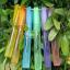  &laquo;Borong Pen Perfume rm5&raquo; telegram channel 