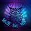  &laquo; South Owl Roadblock &raquo; telegram channel 