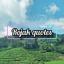  &laquo;Rojak quotes&raquo; telegram channel 