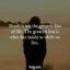  &laquo;Lifequotes❤️&raquo; telegram channel 