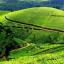  &laquo;കേരളം № 1&raquo; telegram channel 