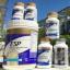  &laquo;SHAKLEE CONSULTANT ANDA&raquo; telegram channel 