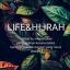  &laquo;LIFE & HIJRAH &bull;&raquo; telegram channel 