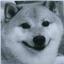  &laquo;Gotcha&raquo; telegram channel 