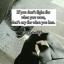  &laquo;ℓ&iota;gнт &sigma;f ℓ&iota;fє&raquo; telegram channel 