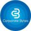  &laquo;Corporate Bytes ✔︎&raquo; telegram channel 