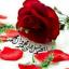  &laquo;پرسمان (بانک کشوری سوالات و آموزش عربی متوسطه اول و دوم ) خانم&zwnj; میرزایی&raquo; telegram channel 