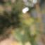  &laquo;Photographies &raquo; telegram channel 