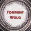  &laquo;Torrent Wala&raquo; telegram channel 