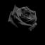  &laquo;DarkSoul&raquo; telegram channel 