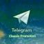  &laquo;BHARAT&raquo; telegram channel 