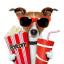  &laquo;Movies Room&raquo; telegram channel 