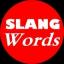  &laquo;English Slang Words&raquo; telegram channel 