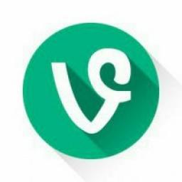  Телеграмм канал &laquo;Vine video&raquo; 
