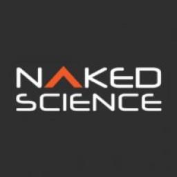  Телеграмм канал &laquo;Naked Science&raquo; 