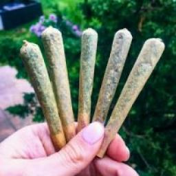 Телеграмм канал &laquo;Cannabis Culture&raquo; 