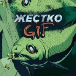  Телеграмм канал &laquo;