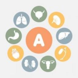  Телеграмм канал &laquo;Анатомичка&raquo; 