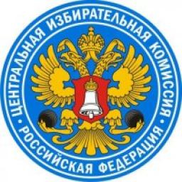  Телеграмм канал &laquo;Выборы, всем ЦЫК!&raquo; 