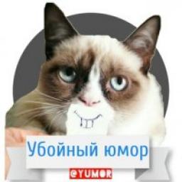  Телеграмм канал &laquo;Убойный юмор