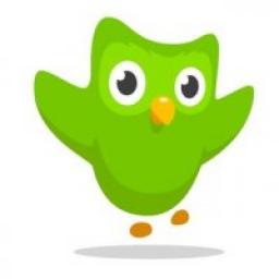 Телеграмм канал &laquo;Duolingo&raquo; 