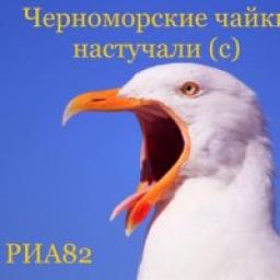  Телеграмм канал &laquo;РИА82&raquo; 