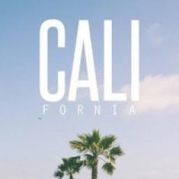  Телеграмм канал &laquo;CALIFORNIA MAGIC&raquo; 