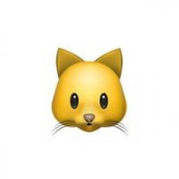  Телеграмм канал &laquo;About #Cats | Коты и кошки&raquo; 