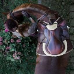  Телеграмм канал &laquo;Horse telegram channel | Лошади, конный спорт, верховая езда&raquo; 