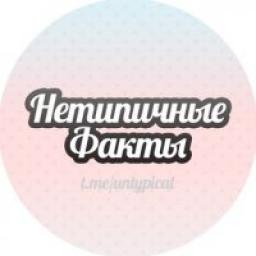  Телеграмм канал &laquo;НЕТИПИЧНЫЕ ФАКТЫ&raquo; 