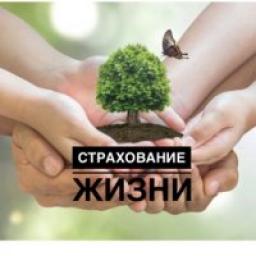  Телеграмм канал &laquo;PRO Страхование Жизни&raquo; 